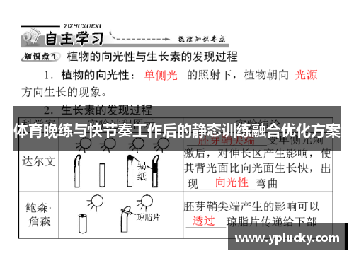 体育晚练与快节奏工作后的静态训练融合优化方案